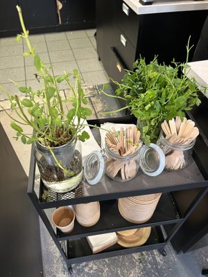   at Roswell & Soup Culture in Poznan