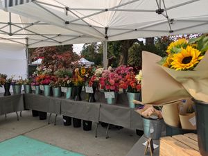 at Riley Park Farmers Market at Farmers Markets in Vancouver