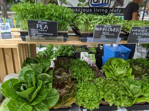 Greens at Riley Park Market at Farmers Markets in Vancouver