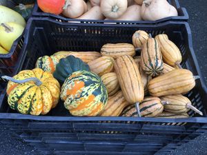Fresh veggies at Farmers Markets in Vancouver