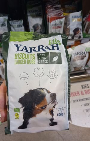  at Odin - Czaar Peter in Amsterdam