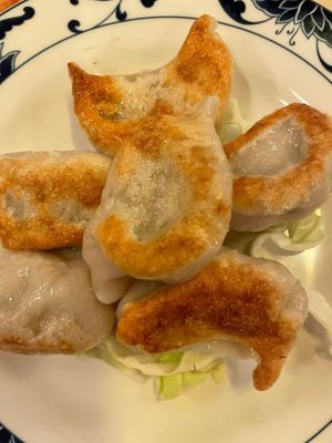 Dumplings   at Super Bowl Cuisine in Kingston