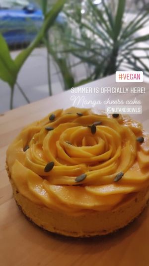 Raw Mango Cheesecake  at Nut and Bowls in New Delhi