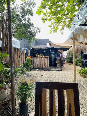 Outside area  at Arte Sano in Holbox