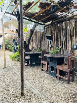 Outside area   at Arte Sano in Holbox