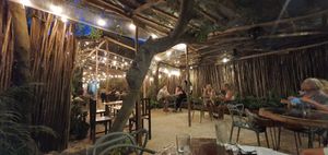  at Arte Sano in Holbox