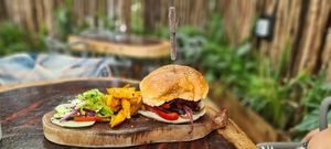  at Arte Sano in Holbox