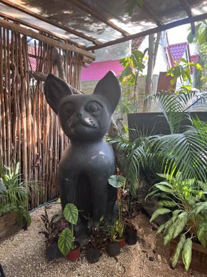 Decor  at Arte Sano in Holbox