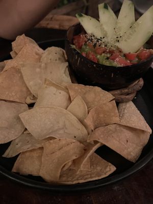   at Arte Sano in Holbox