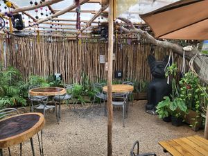  at Arte Sano in Holbox