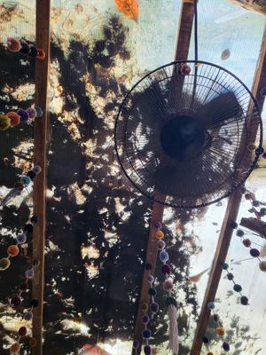  at Arte Sano in Holbox