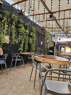  at Arte Sano in Holbox