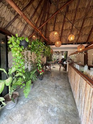  at Arte Sano in Holbox