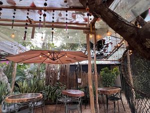  at Arte Sano in Holbox