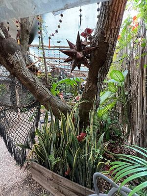  at Arte Sano in Holbox