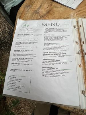  at Arte Sano in Holbox