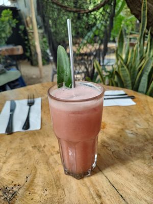  at Arte Sano in Holbox