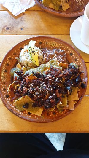 Chilaquiles verdes with hibiscus tinga at Arte Sano in Holbox