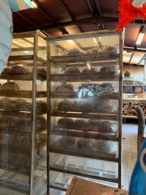 Fruit loaves  at White Deer Bái Lù Yáo in Yuchi