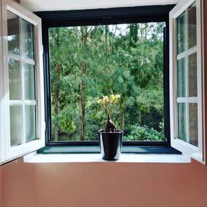 View from one of the rooms! at TerrAzoia in Colares