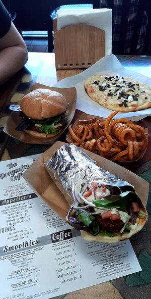 Gyros, burgers, fries and more! at The Dragonfly in Ocala