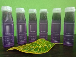 Lime+buterfly pea with chin seed. at Grandma's Garden in Pai