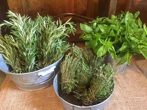 A meal isn't complete without adding flavor and additional healing anti-oxidant herbs like basil, thyme, rosemary, sage and more. at Ron Weiss MD - Ethos Farm Project in Washington Township