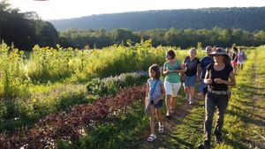 Ethos Farm Project guided tours educate on the benefits of regenerative farming for human health and the future health of the planet.  at Ron Weiss MD - Ethos Farm Project in Washington Township