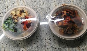 Takeout bowls. at DIG - Lenox Hill in New York City