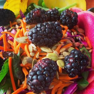 Side salad at Kelley Farm Kitchen in Harpers Ferry