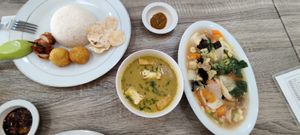 Cap cai and curry at Buddha Heart Vegan Cuisine in Medan