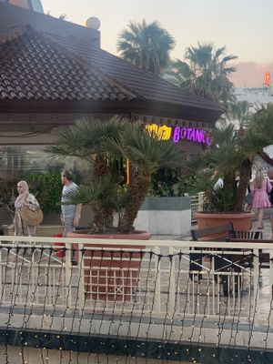   at Thai Botánico in Tenerife