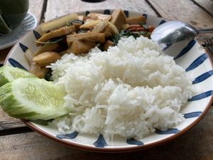 Thai basil with tofu and mushroom  at Flow Beach Cafe. - Seaddict in Koh Samet