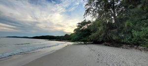 sunset view from the café at Flow Beach Cafe. - Seaddict in Koh Samet