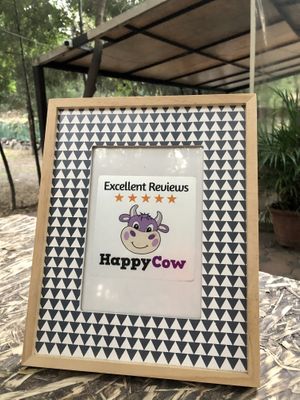 Happy Cow 🐮 at Cafetería Tambien in Puebla