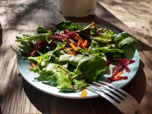Mixed side salad at Cafetería Tambien in Puebla