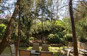 Eating surrounded by trees and plants 💗 at Cafetería Tambien in Puebla