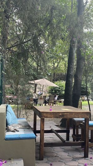   at Cafetería Tambien in Puebla