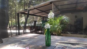  at Cafetería Tambien in Puebla