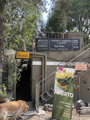   at Cafetería Tambien in Puebla