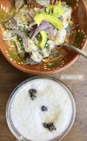 Chilaquiles   at Cafetería Tambien in Puebla