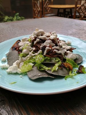 Totopos con tinga de champiñones 🍄 (no habia tostada) at Cafetería Tambien in Puebla