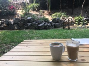 Beautiful little garden in the shade  at Cafetería Tambien in Puebla