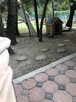 :) at Cafetería Tambien in Puebla