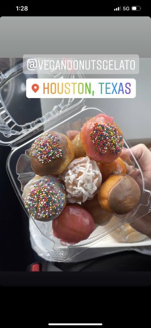 Variety donut holes  #Veganuary at Vegan Donut-Gelato in Houston