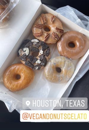 Variety of donuts  #Veganuary at Vegan Donut-Gelato in Houston