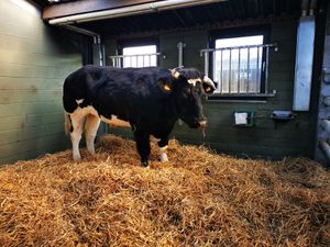  at Animaux en Péril in Ath