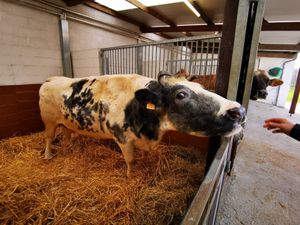  at Animaux en Péril in Ath