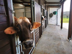  at Animaux en Péril in Ath