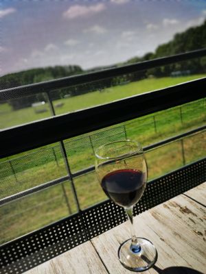  at Animaux en Péril in Ath